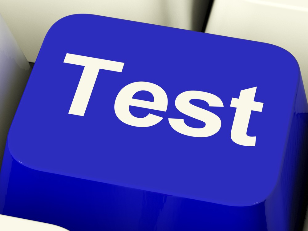 Hunde in der Tierpension mit modernem Ambiente