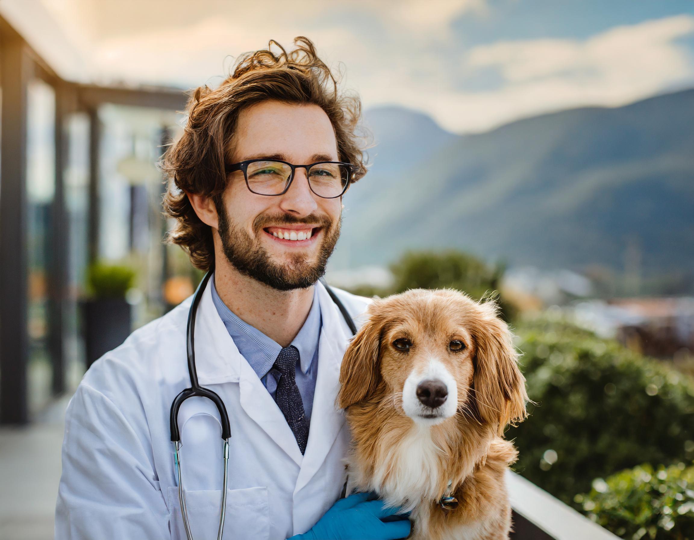 Hochwertige Tierpflegeprodukte auf einem stilvollen Hintergrund